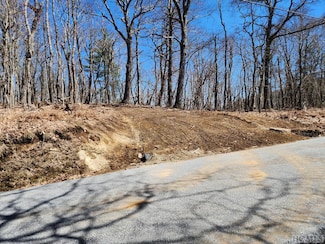 Lot 51 Tower Rd, Sapphire, NC 28774