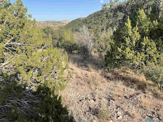 102 Longfellow Ave, Timberon, NM 88350
