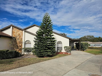 9163 Lingrove Rd, Weeki Wachee, FL 34613