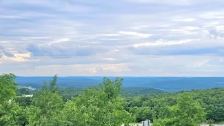 Lot # 2 Lynx Ln, Jackson Township, PA 15961