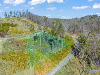 Lot 50 Fall Creek Dr, Guntersville, AL 35976