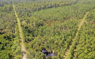 0 Bat Rd Unit 118889, Perry, FL 32347