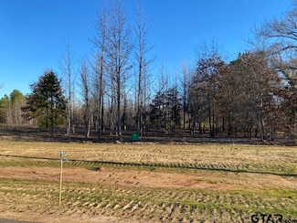 16737 Ridgeline Loop, Winona, TX 75792