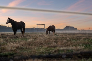 201 Lamb Rd, Rockvale, TN 37153