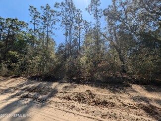 0200-0120 Pine Dr, Interlachen, FL 32148