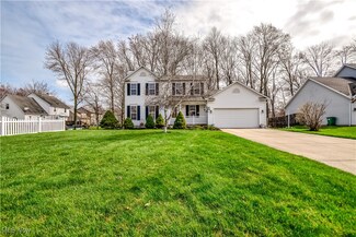 1365 Cedar Creek Ct, Painesville, OH 44077