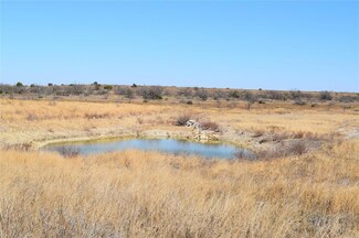 2191 U S 67, Talpa, TX 76882
