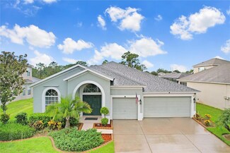 3511 Juneberry Dr, Wesley Chapel, FL 33543