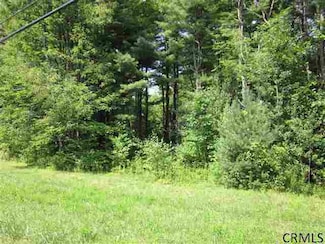 0 Barkersville Rd Unit 28117763, Providence, NY 12074