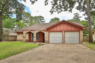 23038 Cranberry Trail, Spring, TX 77373