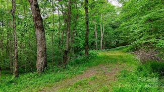 233 Woodland Springs Trail Unit 14, Boone, NC 28607