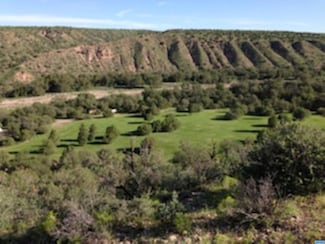 142-30 Cat Walk Rd, Mogollon, NM 88039