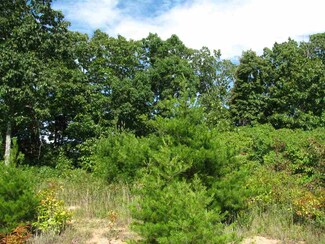 1 Cotton Court Ct, Clifton, TN 38425