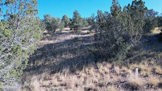 30863 W Basconia Rd Unit 4315, Seligman, AZ 86337
