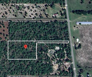 53 Vacant S Cr Creek, Lee, FL 32059