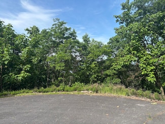 lots 42,43 Walnut Bend Dr, Whitesburg, TN 37891