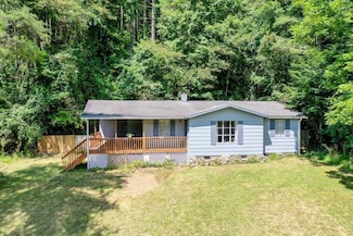 2063 Pedlar River Rd, Vesuvius, VA 24483