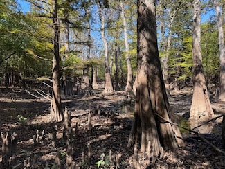 Tbd Dump Rd Unit LotWP001, Merryville, LA 70653