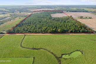 0000 Penny Rd, Jacob City, FL 32431