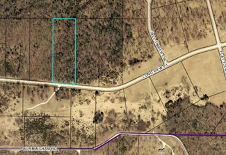 335 Longview Point, Forsyth, MO 65653