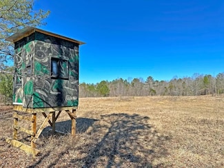 244 Boggs Rd, Braxton, MS 39044
