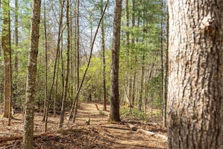 124 Taut Line Ln, Sapphire, NC 28774