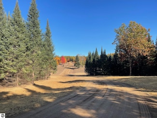 10601 SW Old Oak Trail, Fife Lake, MI 49633
