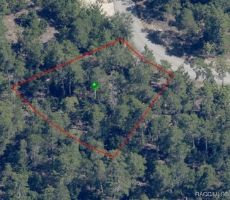 35 Tall Marigolds Ct, Homosassa, FL 34446