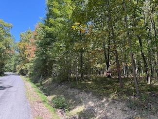 wp01 Upson Rd, Big Flats, NY 14845