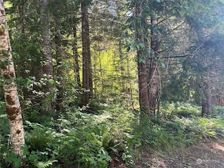 103 Ridge Ln, Packwood, WA 98361
