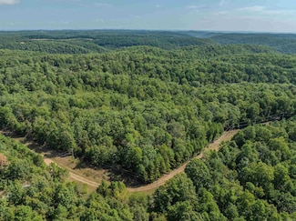 * Ravenwood Ln, Yellville, AR 72687