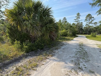 869 SW 712th Ave, Horseshoe Beach, FL 32648