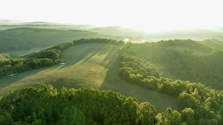 37286 County Road Ee-270, Vanzant, MO 65768