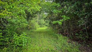 0 Tbd Hwy 146, Moss Hill, TX 77575