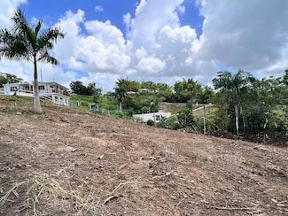 Carr 633 Lot 3 HM.KM Barrio Barahona, Morovis, PR 00687