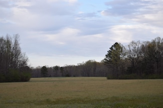 0 Tennessee 193, Williston, TN 38076