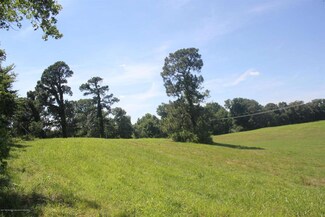 5 Desoto Dr, Walls, MS 38680