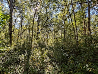 , 244th St, West Creek Township, IN 46376