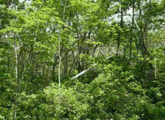 71 Tabor House Rd, Chilmark, MA 02535