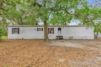 9191 SE 183rd Avenue Rd, Ocklawaha, FL 32179