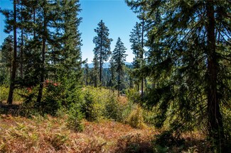 0 Coralbell Ln Unit 844257, Ronald, WA 98940