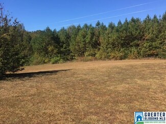 0 County Road 459 Unit 33 Acres 765316, Woodland, AL 36280
