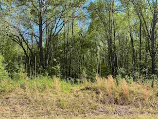 1.26 ACRES Tennessee 193, Rossville, TN 38066