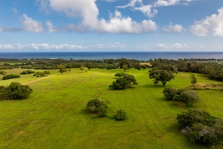 53-4223 Pratt Rd, Kapaau, HI 96755