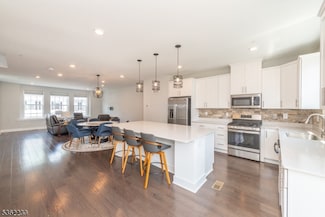 9 McCluskey Place, Morris Plains, NJ 07950