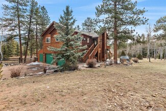 33864 Martin Rd, Pine, CO 80470