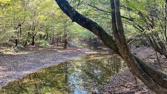 0 Lloyd Mill Rd Unit 11615934, Andalusia, AL 36421