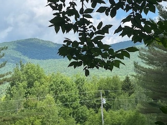 1375 N Hill Rd, Montgomery, VT 05470