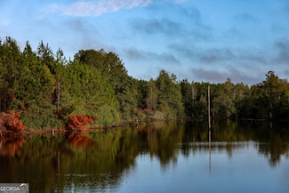 652 ACRES Ga Hwy 45 S, Americus, GA 31719