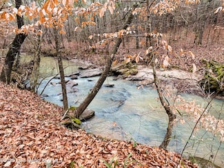 70+/- AC Pleasant Rd, Camp Hill, AL 36850